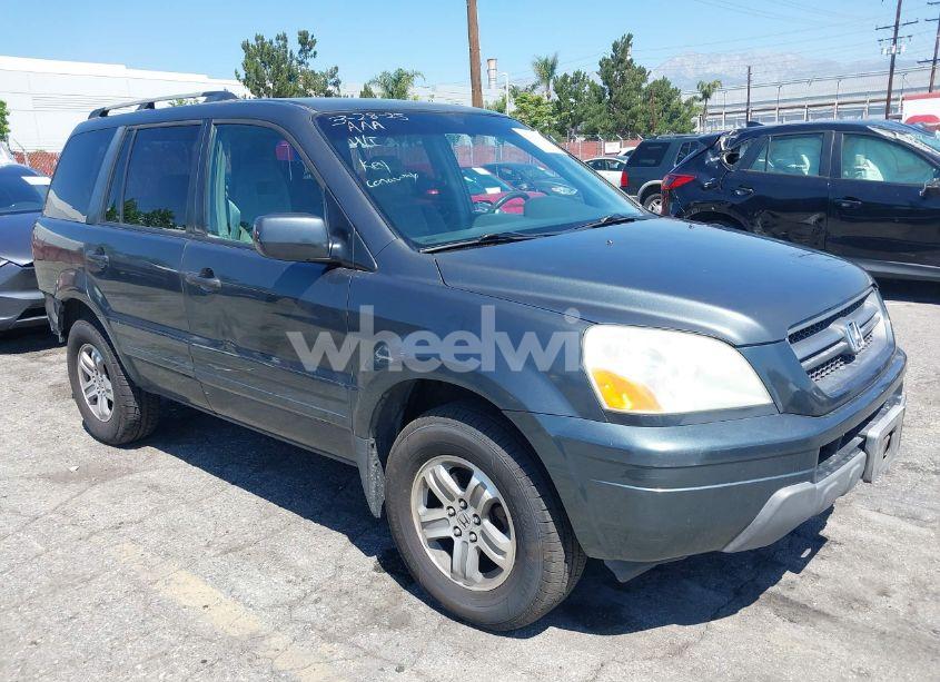 2005 Honda Pilot EX (VIN 2HKYF18495H542707) main photo