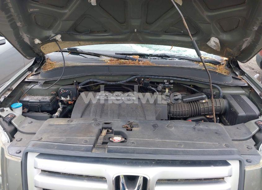 Photo 10 of 2007 Honda Pilot EX (VIN 2HKYF18497H516286)
