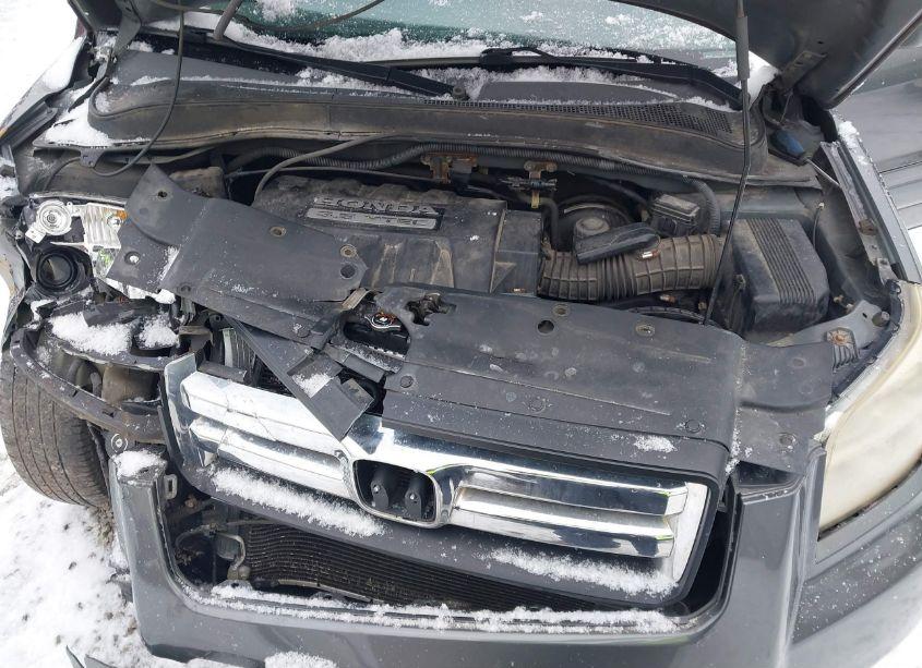 Photo 10 of 2007 Honda Pilot EX (VIN 2HKYF184X7H514630)