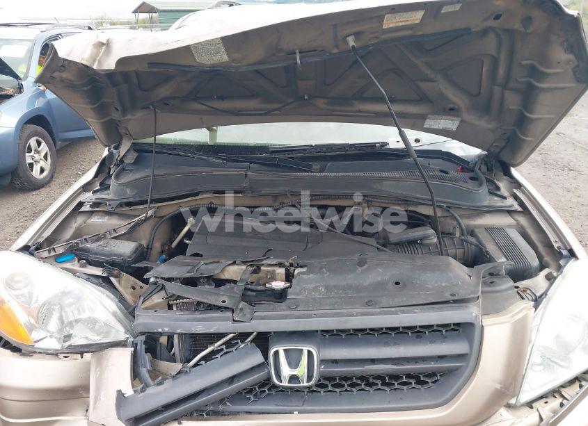 Photo 10 of 2004 Honda Pilot EX-L (VIN 2HKYF18504H507190)