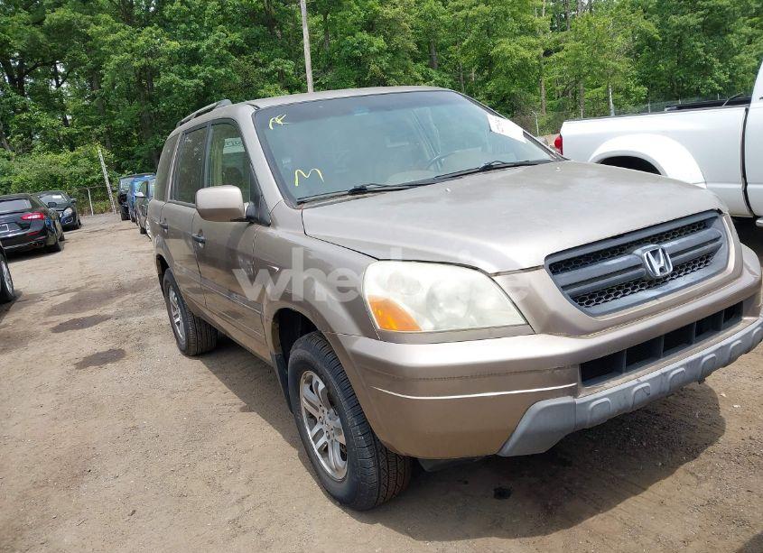 2004 Honda Pilot EX-L (VIN 2HKYF18504H550637) main photo