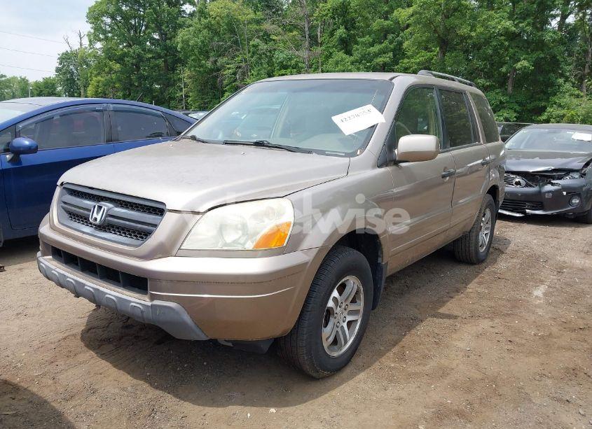 Photo 2 of 2004 Honda Pilot EX-L (VIN 2HKYF18504H550637)