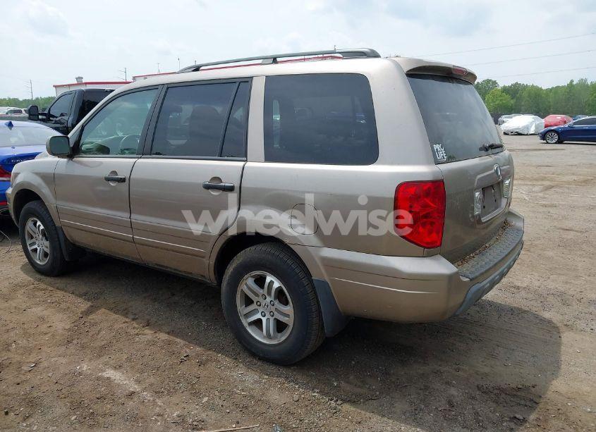 Photo 3 of 2004 Honda Pilot EX-L (VIN 2HKYF18504H550637)