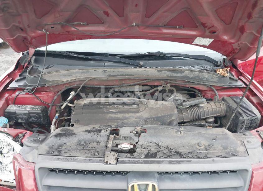 Photo 10 of 2004 Honda Pilot EX-L (VIN 2HKYF18504H599000)