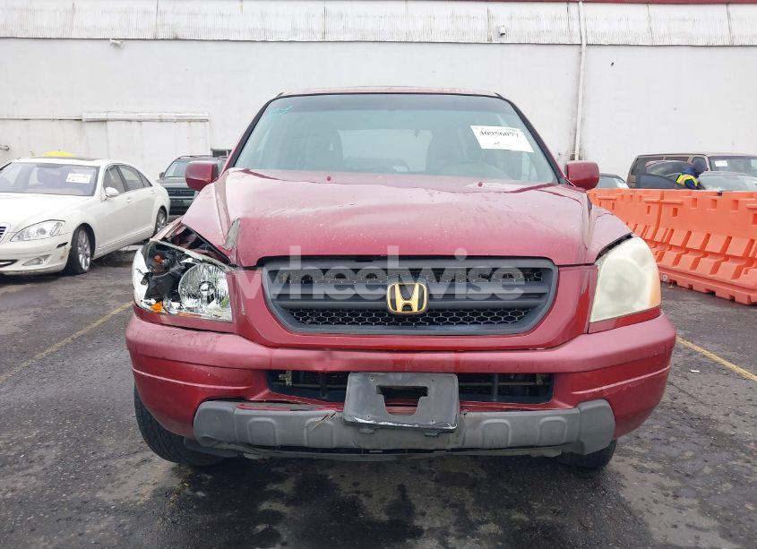 Photo 12 of 2004 Honda Pilot EX-L (VIN 2HKYF18504H599000)