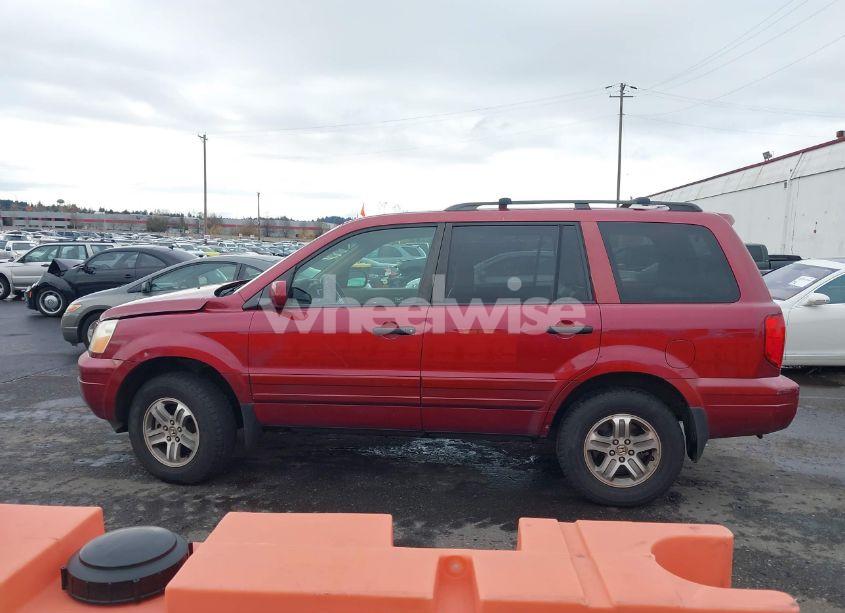 Photo 14 of 2004 Honda Pilot EX-L (VIN 2HKYF18504H599000)