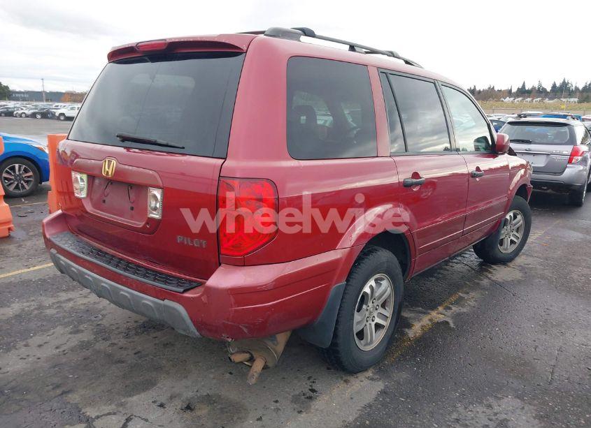 Photo 4 of 2004 Honda Pilot EX-L (VIN 2HKYF18504H599000)