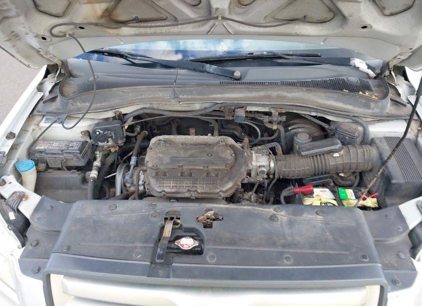 Photo 10 of 2007 Honda Pilot EX-L (VIN 2HKYF18507H508795)