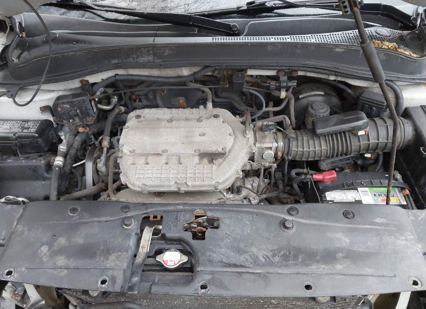 Photo 10 of 2007 Honda Pilot EX-L (VIN 2HKYF18507H522101)