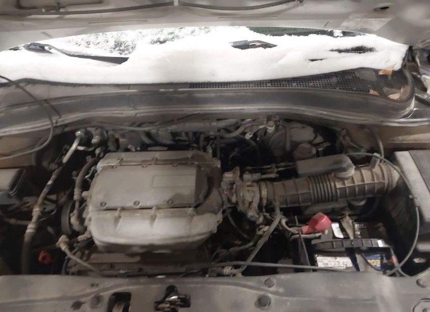 Photo 10 of 2003 Honda Pilot EX-L (VIN 2HKYF18513H005335)