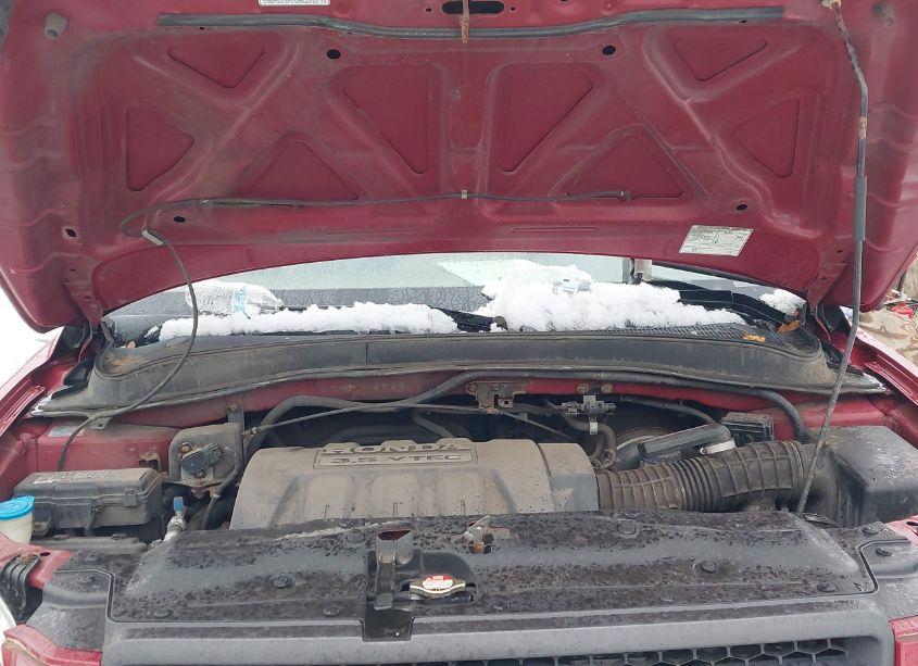 Photo 10 of 2005 Honda Pilot EX-L (VIN 2HKYF18515H556335)