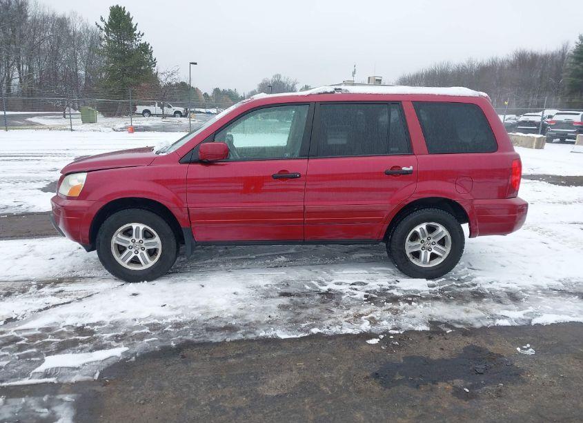 Photo 14 of 2005 Honda Pilot EX-L (VIN 2HKYF18515H556335)