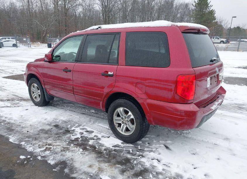 Photo 3 of 2005 Honda Pilot EX-L (VIN 2HKYF18515H556335)