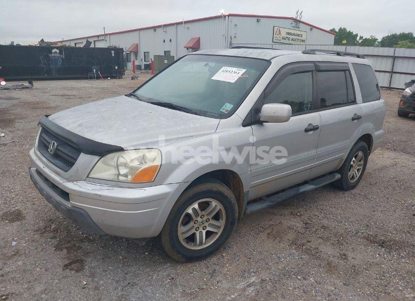 Photo 2 of 2003 Honda Pilot EX-L (VIN 2HKYF18523H543302)
