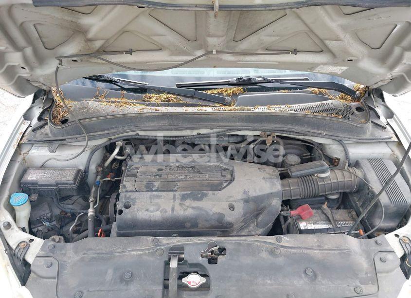 Photo 10 of 2004 Honda Pilot EX-L (VIN 2HKYF18524H542877)