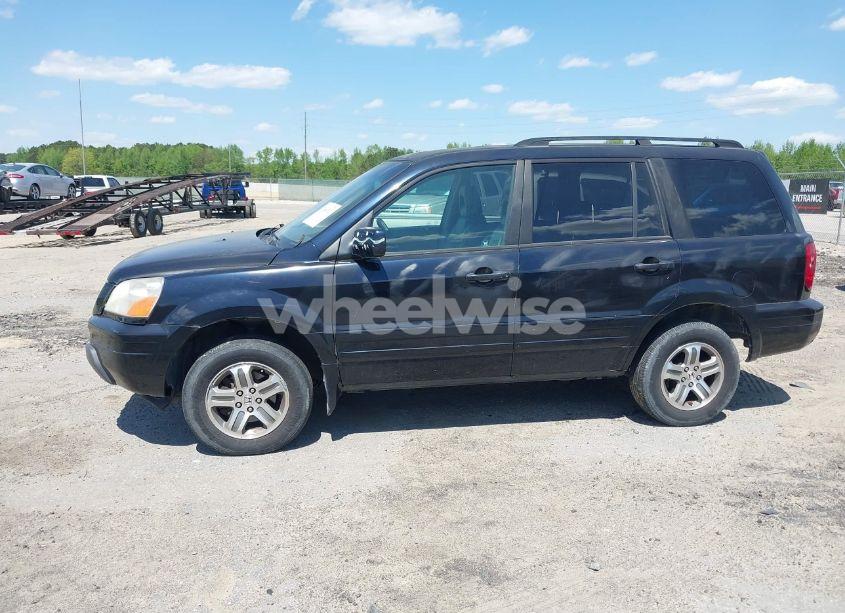Photo 14 of 2004 Honda Pilot EX-L (VIN 2HKYF18524H546430)