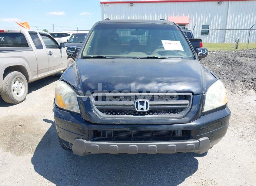 Photo 15 of 2004 Honda Pilot EX-L (VIN 2HKYF18524H546430)