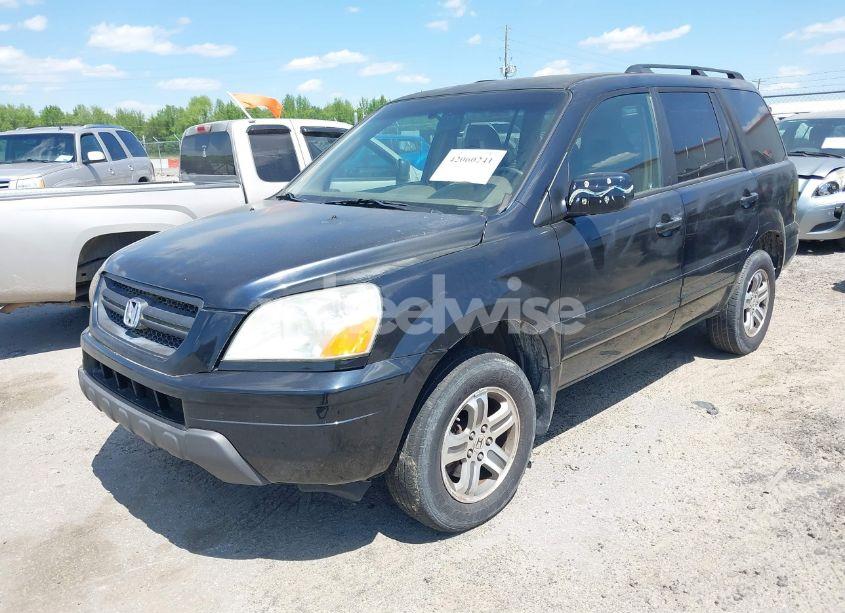 Photo 2 of 2004 Honda Pilot EX-L (VIN 2HKYF18524H546430)