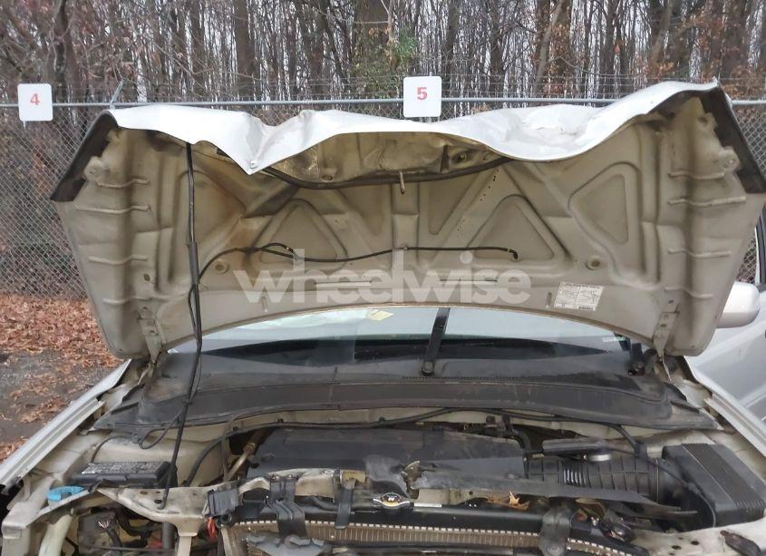 Photo 10 of 2004 Honda Pilot EX-L (VIN 2HKYF18524H613334)