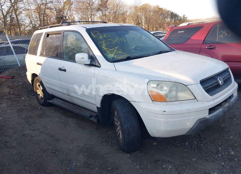 2005 Honda Pilot EX-L (VIN 2HKYF18525H506818) main photo