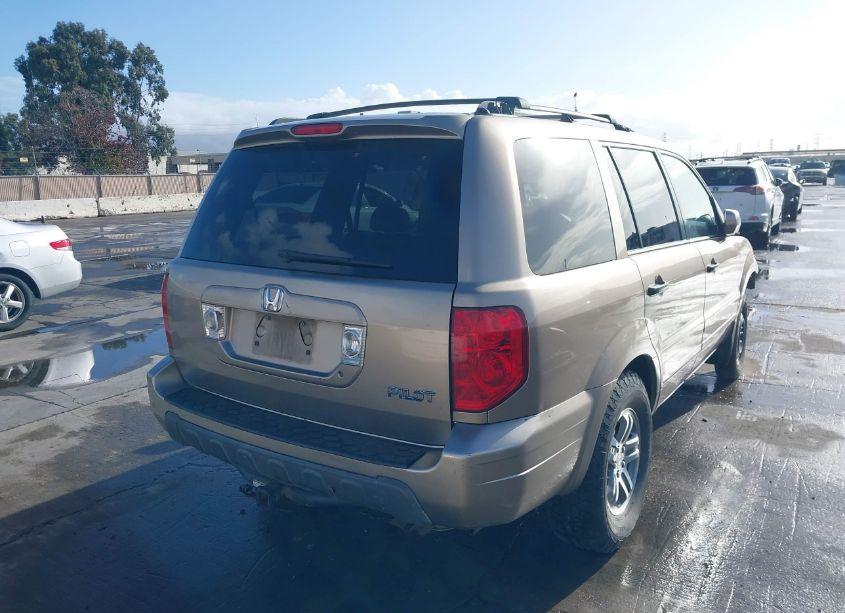 Photo 4 of 2005 Honda Pilot EX-L (VIN 2HKYF18525H550981)