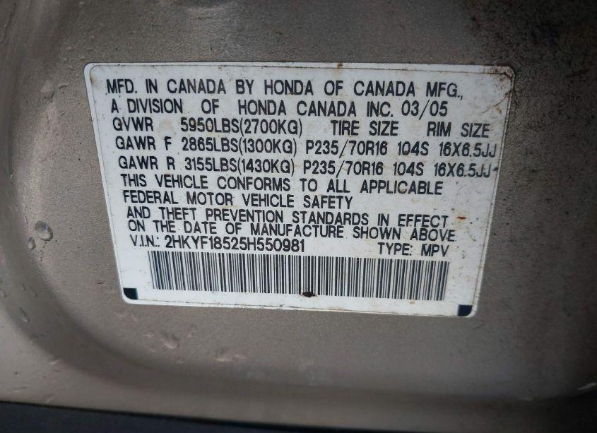 Photo 9 of 2005 Honda Pilot EX-L (VIN 2HKYF18525H550981)