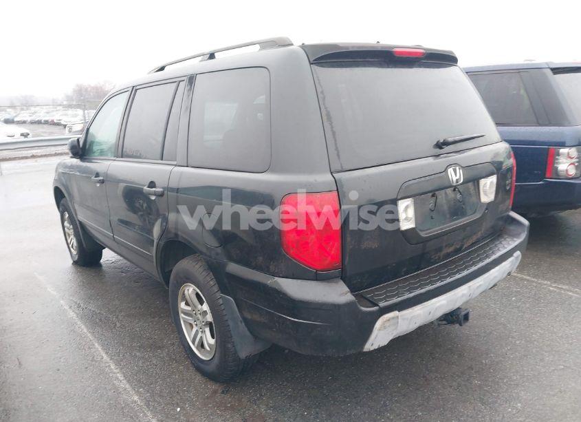 Photo 3 of 2003 Honda Pilot EX-L (VIN 2HKYF18533H508350)