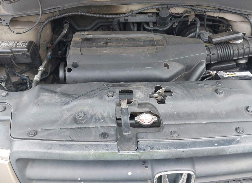 Photo 10 of 2003 Honda Pilot EX-L (VIN 2HKYF18533H570363)