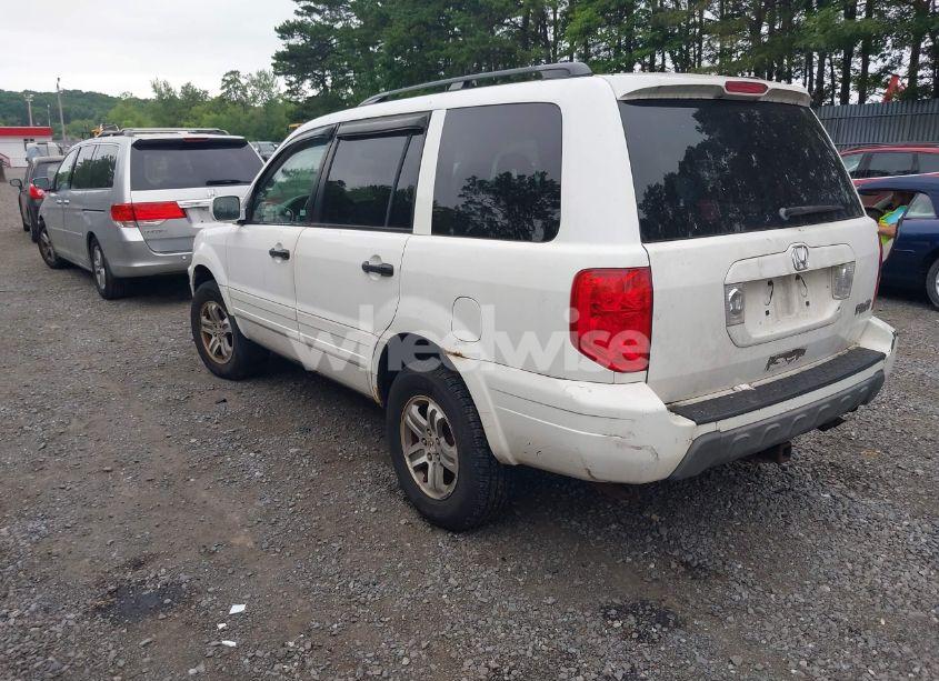 Photo 3 of 2003 Honda Pilot EX-L (VIN 2HKYF18533H599717)