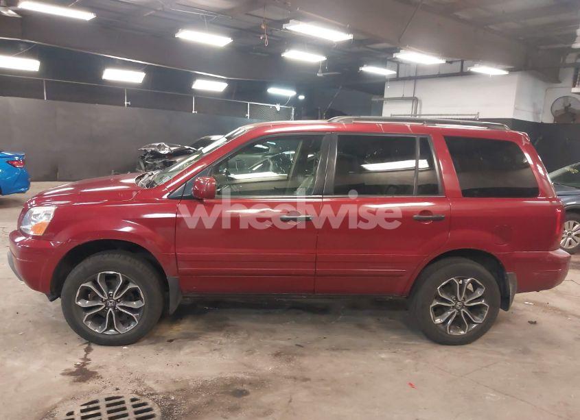 Photo 14 of 2004 Honda Pilot EX-L (VIN 2HKYF18534H544086)