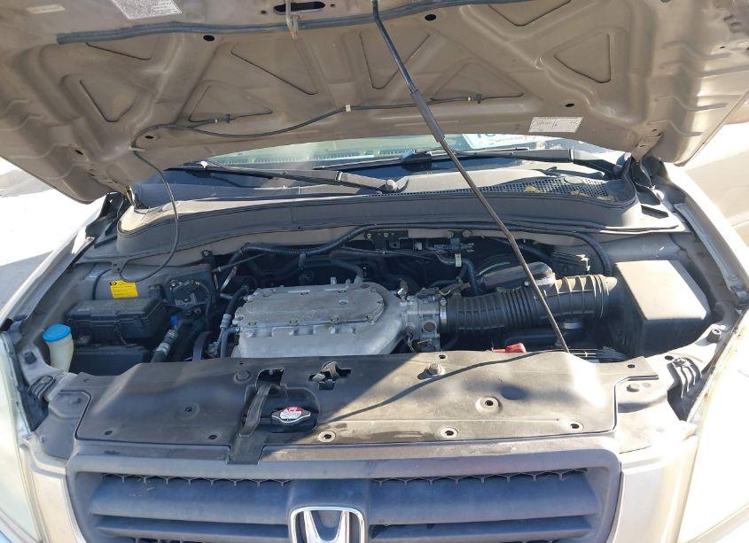 Photo 10 of 2005 Honda Pilot EX-L (VIN 2HKYF18535H504902)