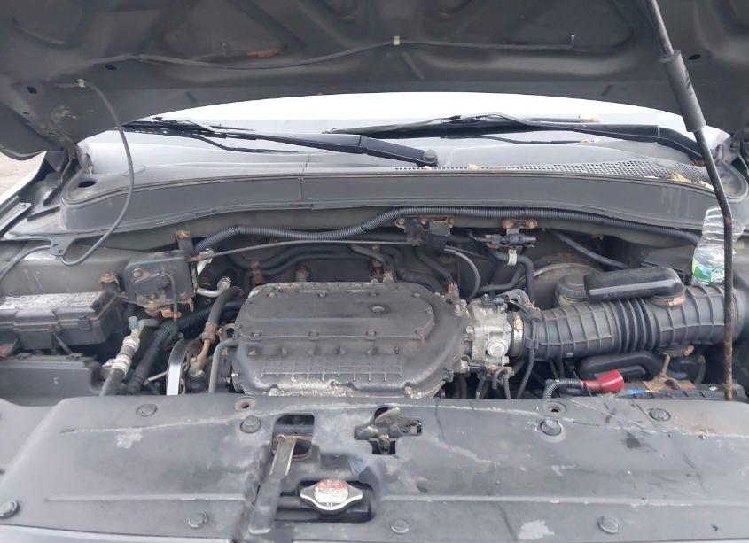 Photo 10 of 2006 Honda Pilot EX-L (VIN 2HKYF18536H536427)