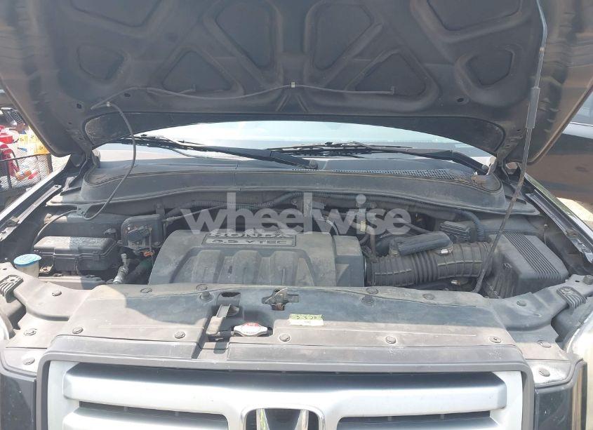 Photo 10 of 2007 Honda Pilot EX-L (VIN 2HKYF18537H525087)