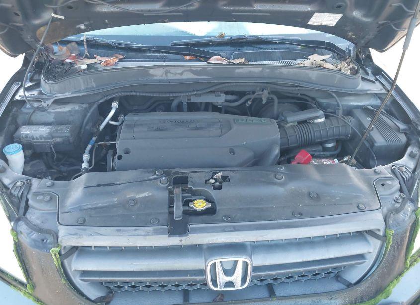 Photo 10 of 2004 Honda Pilot EX-L (VIN 2HKYF18544H518385)