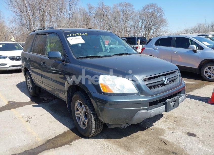 2004 Honda Pilot EX-L (VIN 2HKYF18544H555436) main photo