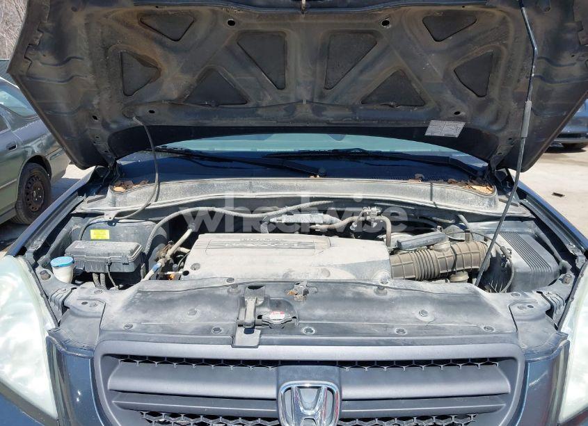Photo 10 of 2004 Honda Pilot EX-L (VIN 2HKYF18544H555436)