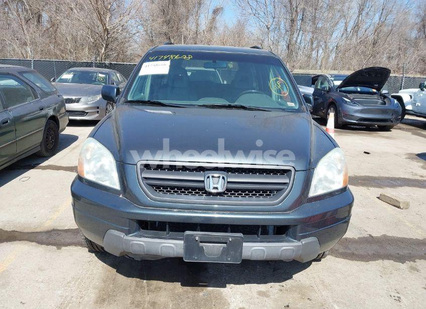Photo 12 of 2004 Honda Pilot EX-L (VIN 2HKYF18544H555436)