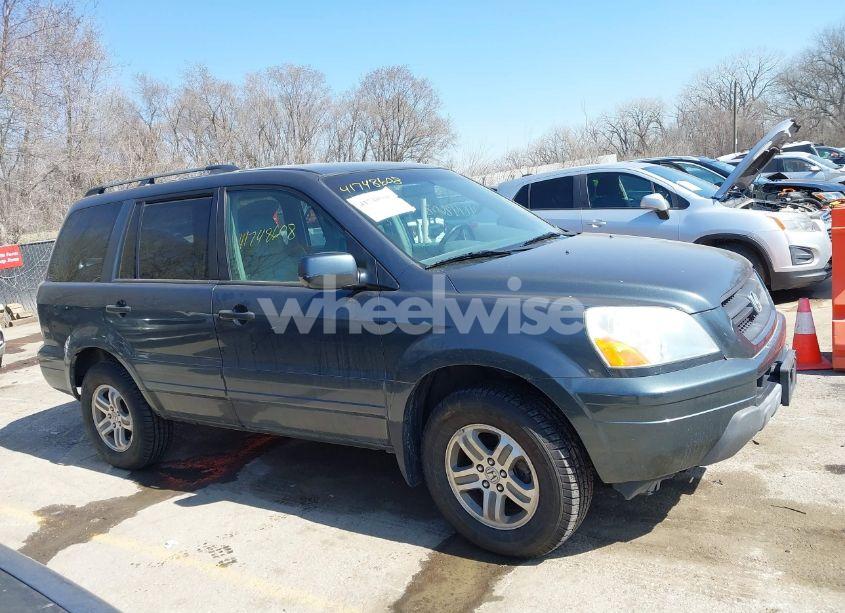 Photo 13 of 2004 Honda Pilot EX-L (VIN 2HKYF18544H555436)