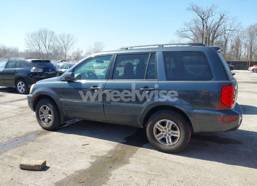 Photo 14 of 2004 Honda Pilot EX-L (VIN 2HKYF18544H555436)