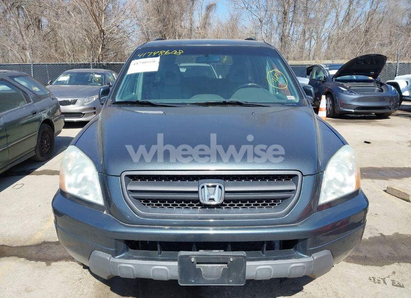 Photo 6 of 2004 Honda Pilot EX-L (VIN 2HKYF18544H555436)