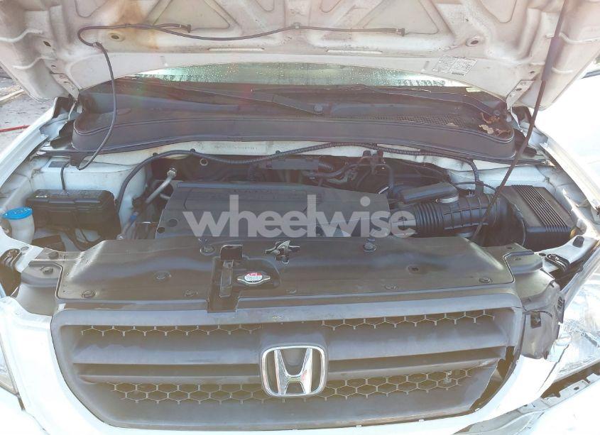 Photo 10 of 2004 Honda Pilot EX-L (VIN 2HKYF18544H567747)