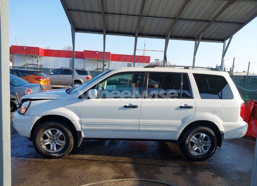 Photo 14 of 2004 Honda Pilot EX-L (VIN 2HKYF18544H567747)