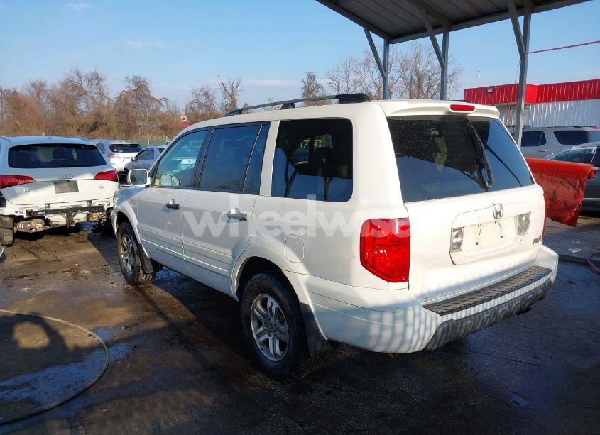 Photo 3 of 2004 Honda Pilot EX-L (VIN 2HKYF18544H567747)