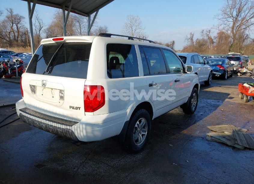 Photo 4 of 2004 Honda Pilot EX-L (VIN 2HKYF18544H567747)