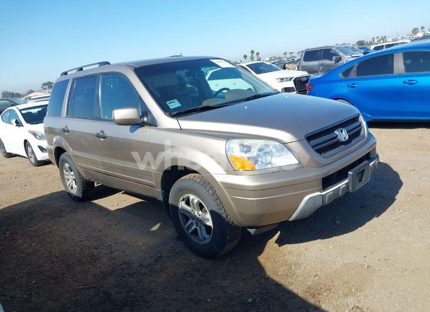 2004 Honda Pilot EX-L (VIN 2HKYF18544H592230) main photo