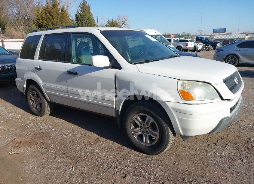 2005 Honda Pilot EX-L (VIN 2HKYF18545H544888) main photo
