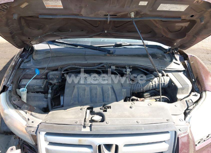 Photo 10 of 2007 Honda Pilot EX-L (VIN 2HKYF18547H532095)