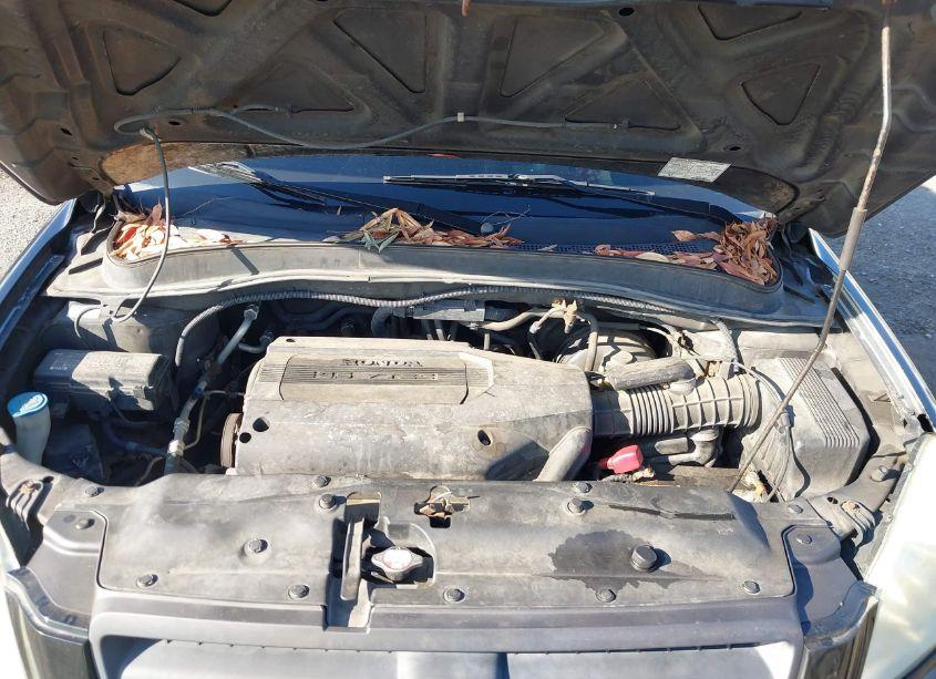 Photo 10 of 2004 Honda Pilot EX-L (VIN 2HKYF18554H540847)