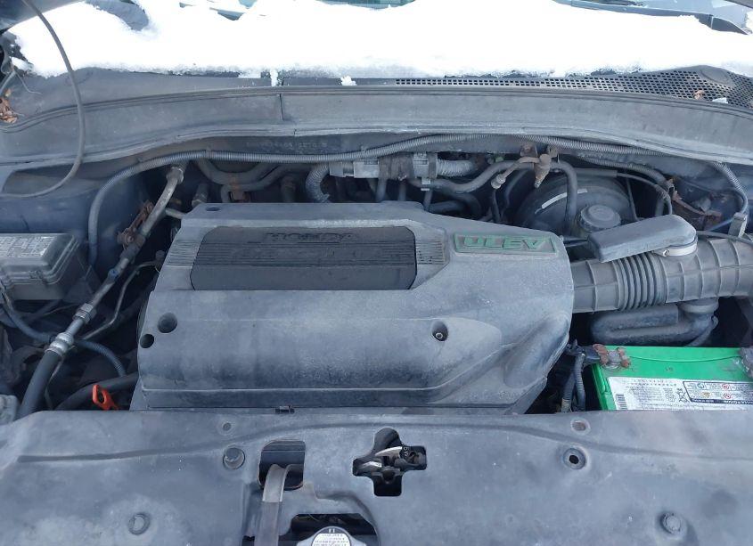 Photo 10 of 2004 Honda Pilot EX-L (VIN 2HKYF18554H551010)