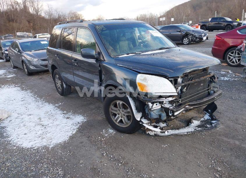 2004 Honda Pilot EX-L (VIN 2HKYF18554H566705) main photo